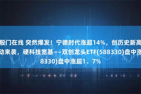 股门在线 突然爆发！宁德时代涨超14%，创历史新高！四大驱动来袭，硬科技宽基——双创龙头ETF(588330)盘中涨超1．7%