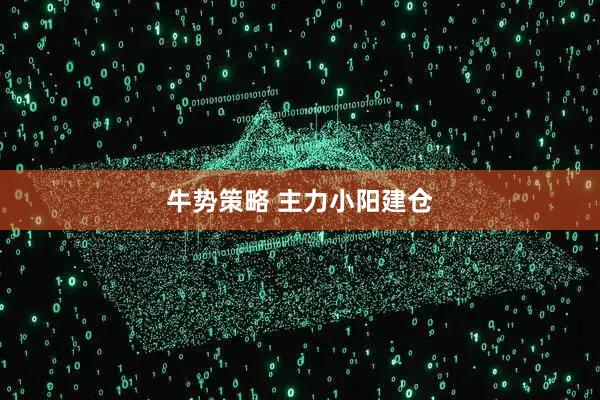 牛势策略 主力小阳建仓