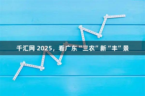 千汇网 2025，看广东“三农”新“丰”景