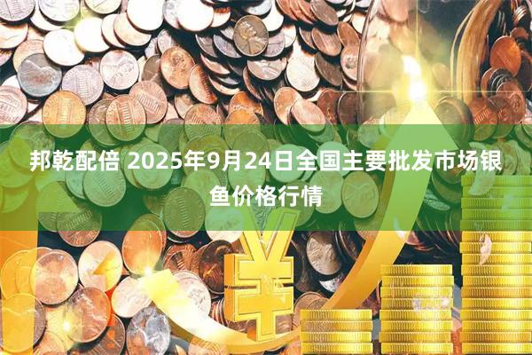 邦乾配倍 2025年9月24日全国主要批发市场银鱼价格行情