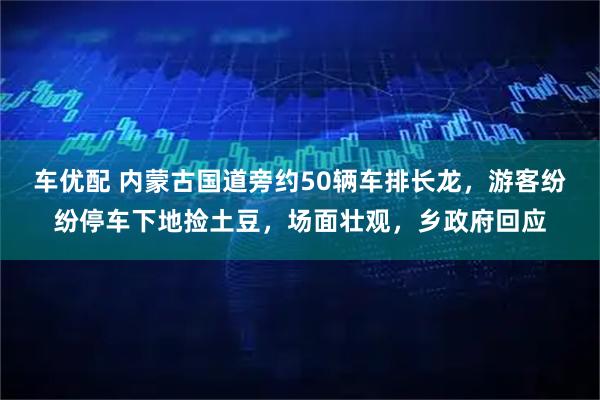 车优配 内蒙古国道旁约50辆车排长龙，游客纷纷停车下地捡土豆，场面壮观，乡政府回应