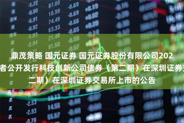 鼎茂策略 国元证券 国元证券股份有限公司2025年面向专业投资者公开发行科技创新公司债券（第二期）在深圳证券交易所上市的公告