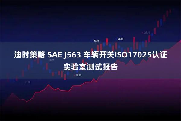 迪时策略 SAE J563 车辆开关ISO17025认证实验室测试报告