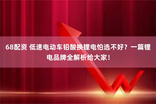 68配资 低速电动车铅酸换锂电怕选不好？一篇锂电品牌全解析给大家！