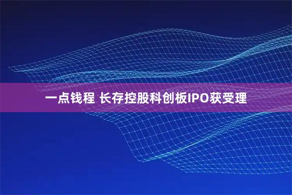 一点钱程 长存控股科创板IPO获受理